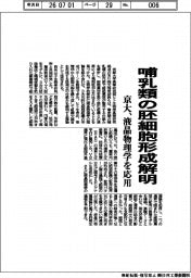 京大、哺乳類の胚細胞形成解明 液晶物理学を応用