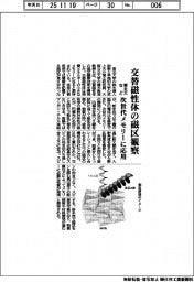 東北大など、交替磁性体の磁区観察 次世代メモリーに応用