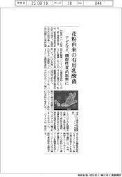 アピ、花粉由来の有用乳酸菌 機能性食品原料に
