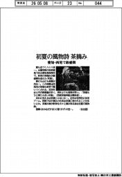 初夏の風物詩茶摘み 愛知・西尾で最盛期
