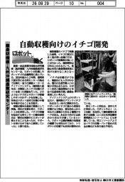 ロボットと働く/農研機構・九州沖縄農業研究センター、自動収穫向けのイチゴ開発