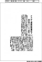 近畿大など、農作物のウイルス病防ぐ ナスから新抵抗性遺伝子を発見