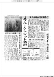 海の植物が炭素吸収、Jブルークレジット活況