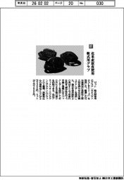 ゼット/北米産原皮使用 軟式用グラブ