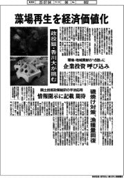 藻場再生の経済価値化 政投銀・香川大が挑む