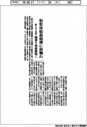 阪大など粉粒体結晶崩壊前触れ発見 地滑り現象の解明へ