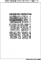 アクプランタ、高温乾燥対策の農業資材実証 米トマト畑で開始