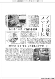 イチゴ栽培スマートに あの手この手で負担を軽減