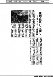 コマツ、木材伐採機 伐倒・枝払い・玉切りヘッド装着