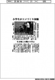 宝酒造、小学生がコメづくり体験 「田んぼの学校」 生き物との関わり学ぶ
