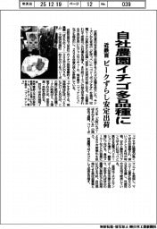 近鉄百、自社農園イチゴ多品種に ピークずらし安定出荷