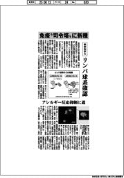東京科学大、免疫“司令塔”に新種 リンパ球系を確認