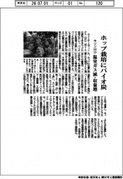 キリンHD、ホップ栽培にバイオ炭 温室ガス減・収量増