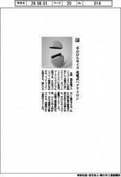 多田/手のひらサイズ 充電式ヘアアイロン