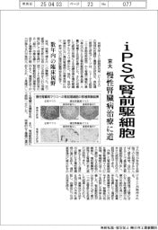 京大、iPSで腎前駆細胞 慢性腎臓病治療に道