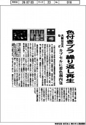 大阪公立大など、繰り返し再生色付きプラ開発 カプセルに着色剤内包