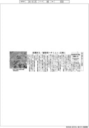 サステナブルリポート/西之島に新しい生態系