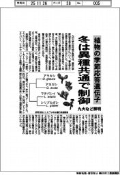 九大など、植物の季節応答遺伝子解明 冬は異種共通で制御