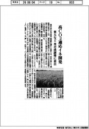 東大など、高CO2適応イネ開発 光合成誘導に着目