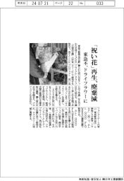 「祝い花」再生で廃棄減 東急不がドライフラワーに