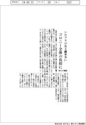 シロアリの女王継承争い、コロニー全体に大きな負担 京大が確認