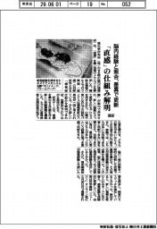 脳内経験と照合、差異で更新 理研、「直感」の仕組み解明