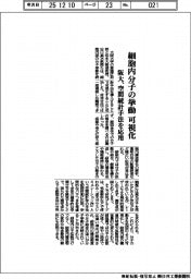 阪大、細胞内分子の挙動を可視化 空間統計手法を応用
