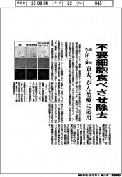 京大、合成たんぱく質開発 不要細胞食べさせ除去 がん治療に応用