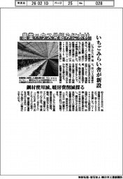 農業ハウス骨組みに木材 いちごみらいが新設