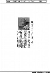 おやつカンパニー/ベビースター「丸」 しおコーン味