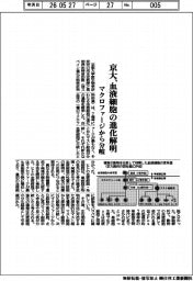 京大、血液細胞の進化解明 マクロファージから分岐