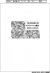 和歌山医大など、「中條・西村症候群」を再現するモデルマウス樹立 治療法開発などに応用