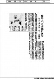 岐阜大、3系統に区分 オオヒラタザトウムシ進化