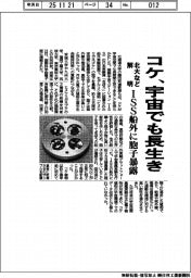 北大など、コケが宇宙でも長生き解明 ISS船外に胞子暴露