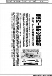 京大、腫瘍内T細胞の疲弊解明 がん免疫療法に応用