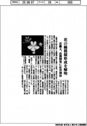 近畿大、花の縞模様形成を解明 品種開発に応用期待