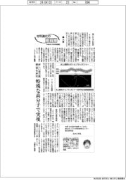 材料進化の最前線 NIMS未来戦略(24)新しい相分離構造を研究 特殊な高分子で実現