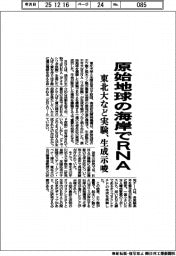 東北大など、原始地球の海岸でRNA生成示唆 模擬実験を実施