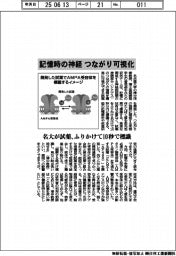 名大、記憶時の神経のつながり可視化 ふりかけるだけの試薬開発、10秒で標識