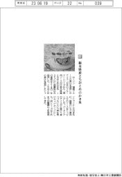 ローソン/栃木県産とちおとめのかき氷