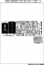 名大など、量子ドット 低毒性で強く発光 がん転移追跡