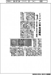 関西学院大学など、ミツバチの巣の発達解明 土台の形・大きさで変化
