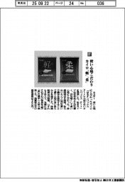 エステー/使い心地こだわり カイロ「軽」「柔」