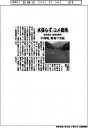 中部電、水張らずにコメ栽培 愛知で実証 高生産性・低環境負荷