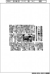白黒縞模様の牛をハエが避ける⁉ 児島氏らにイグ・ノーベル賞