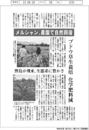 メルシャン、農園で自然回復 ブドウ草生栽培、化学肥料減