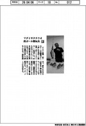 ケイアイ静岡/マダイやタチウオ 段ボール製玩具