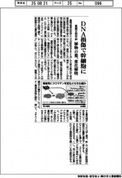 基礎生物学研、DNA損傷で幹細胞に 植物の葉、変化解明