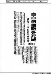 理研など、白血病細胞を死滅 遺伝子工学的に免疫改変