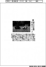 デイトナ/頭まで支え快適 折り畳みローチェア